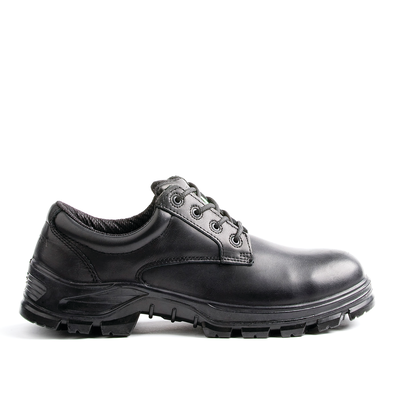 Chaussure de travail Terra Albany pour hommes avec embout en composite